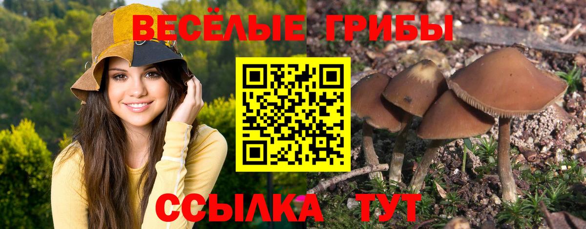 Галлюциногенные грибы мицелий Старая Купавна